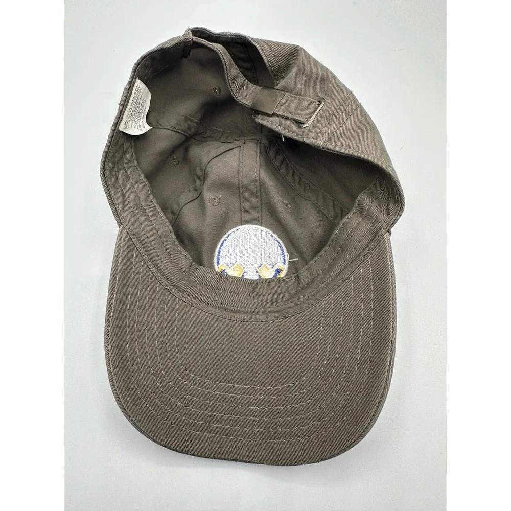 Rare Patagonia Family Experience Employee Exclusive Hat Brown Dad Cap 2016